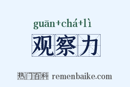 观察力是什么意思的图片